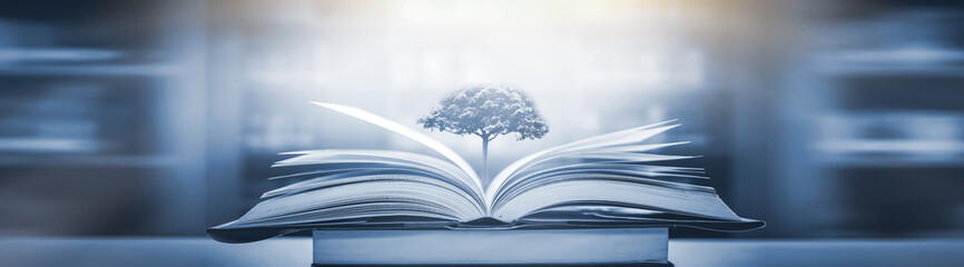 郑语童人物介绍