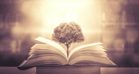 解放J6L一26o汽车是多少马力