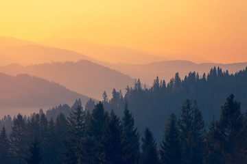 turbo包围有什么区别吗