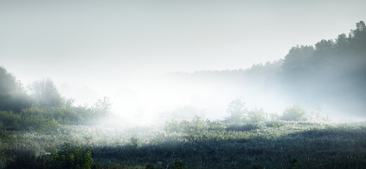 沈烨苏卿卿窦姿若是什么小说