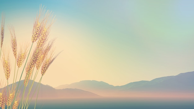 电子助力方向盘可以调轻重吗