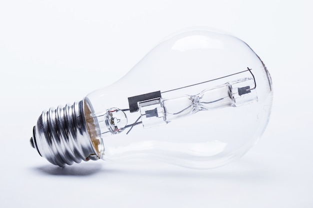 郑语童人物介绍